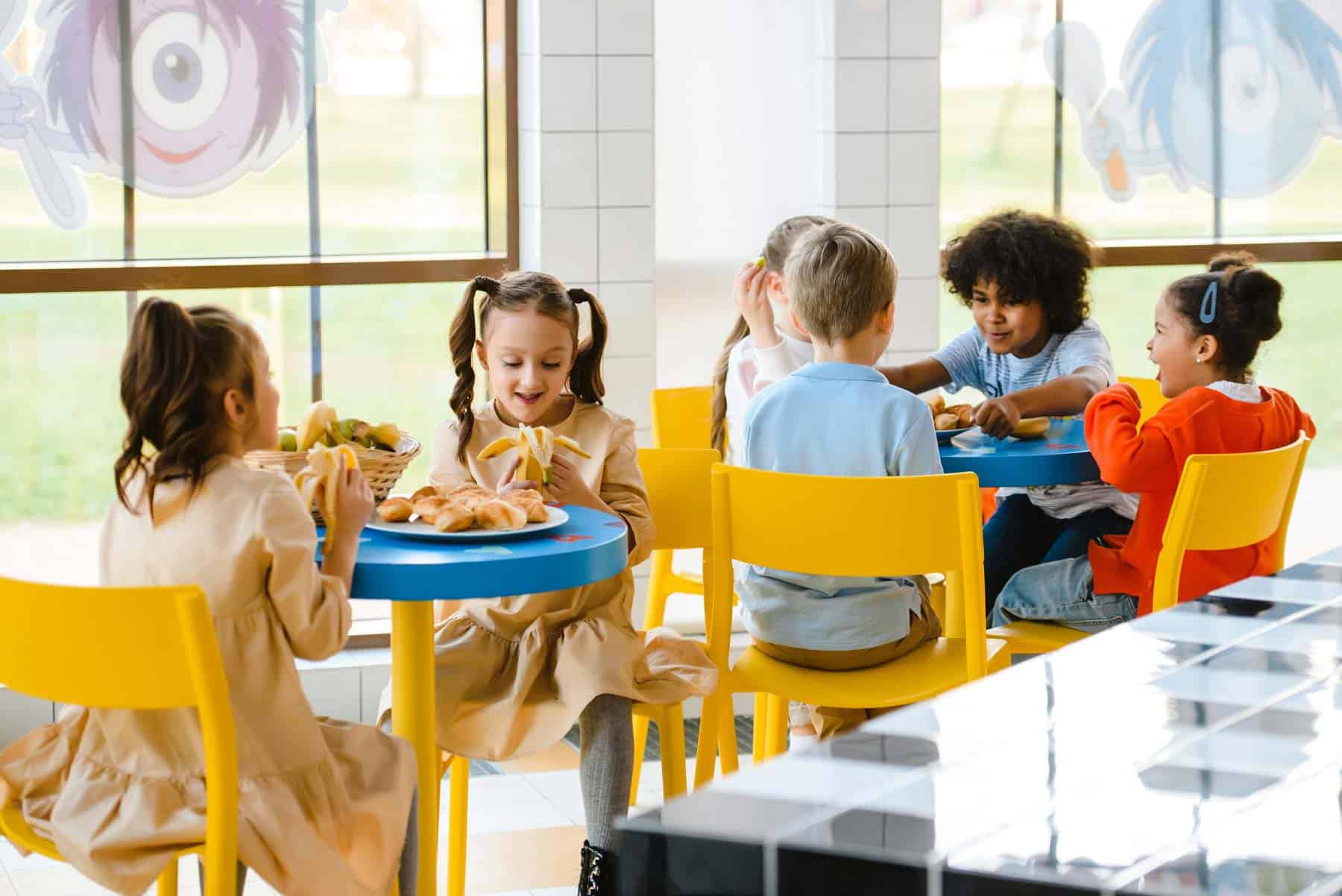 School food programs